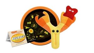 Giantmicrobe Antibody
