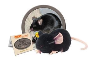 Giantmicrobe Black Lab Mouse