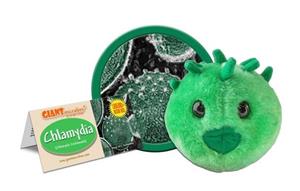 Giantmicrobe Chlamydia