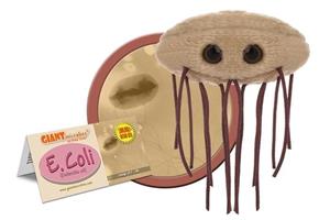 Giantmicrobe E. Coli