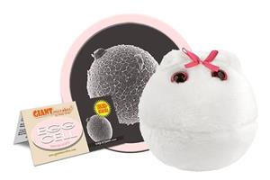 Giantmicrobe Egg Cell