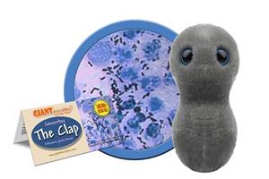Giantmicrobe Gonorrhea "Clap"