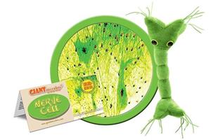 Giantmicrobe Nerve Cell
