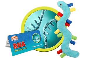 Giantmicrobe Rna
