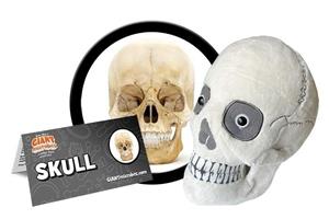 Giantmicrobe Skull