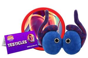 Giantmicrobe Testicles