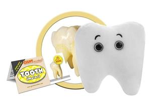Giantmicrobe Tooth